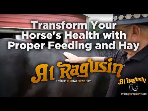 Transform Your Horse's Health: Unlock the Secret to Optimal Performance with Proper Feeding and Hay