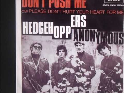 HedgeHoppers Anonymous   " Don't Push Me "   2020 stereo mix.