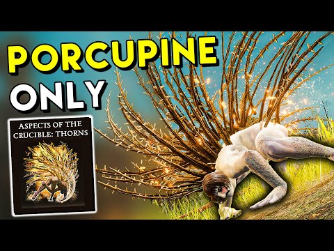 Can You Beat Elden Ring's DLC with the WORST Spell?