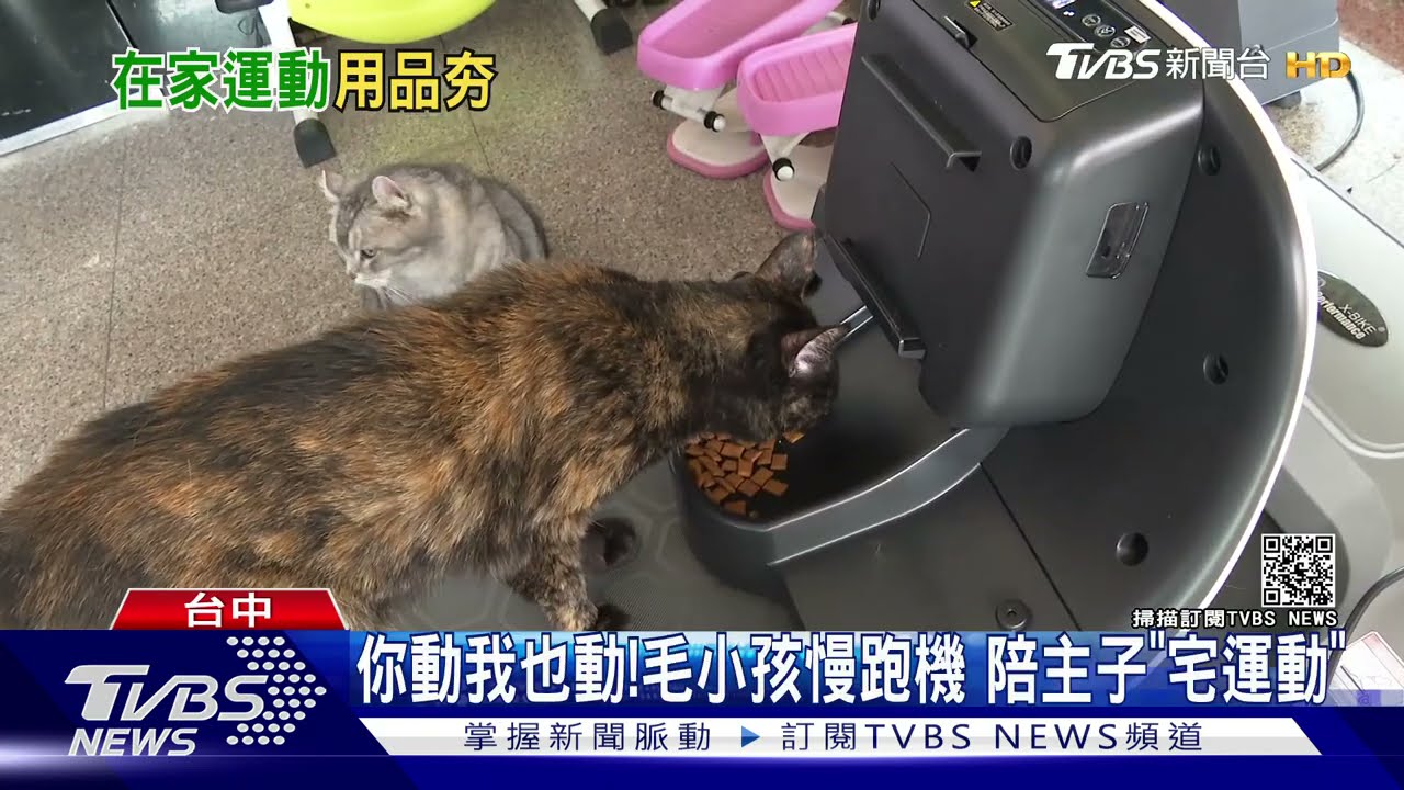 疫情經濟！瑜珈墊月銷6千條　呼拉圈缺貨