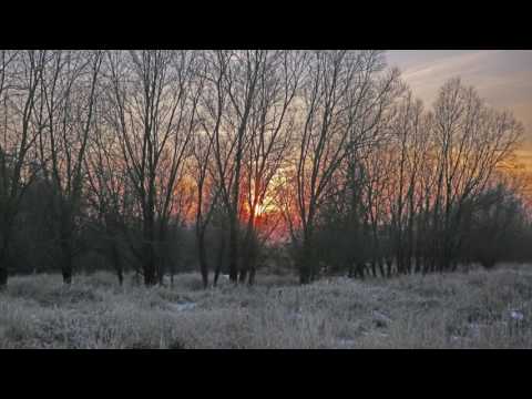 Winter am Niederrhein