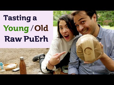ULTRA SPECIAL TEA - Tasting a Young & Old Raw PuErh