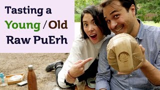 ULTRA SPECIAL TEA - Tasting a Young & Old Raw PuErh