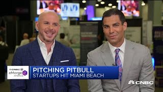 Miami, Florida is a springboard for Latin America tech start-ups: Pitbull