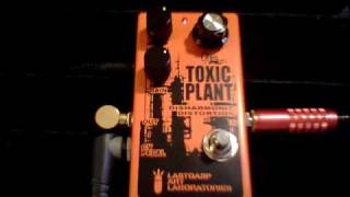 Video thumbnail for Lastgasp Art Laboratories - Toxic Plant - Disharmonic Distortion - TP by Dennis Kayzer