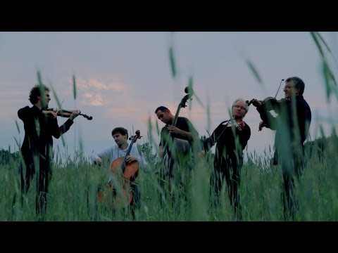 Vołosi ( live ) cinematography Piotr Smoleński