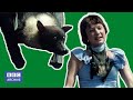 1978: BALLS the FRUIT BAT | That's Life! | Funny Animals | BBC Archive