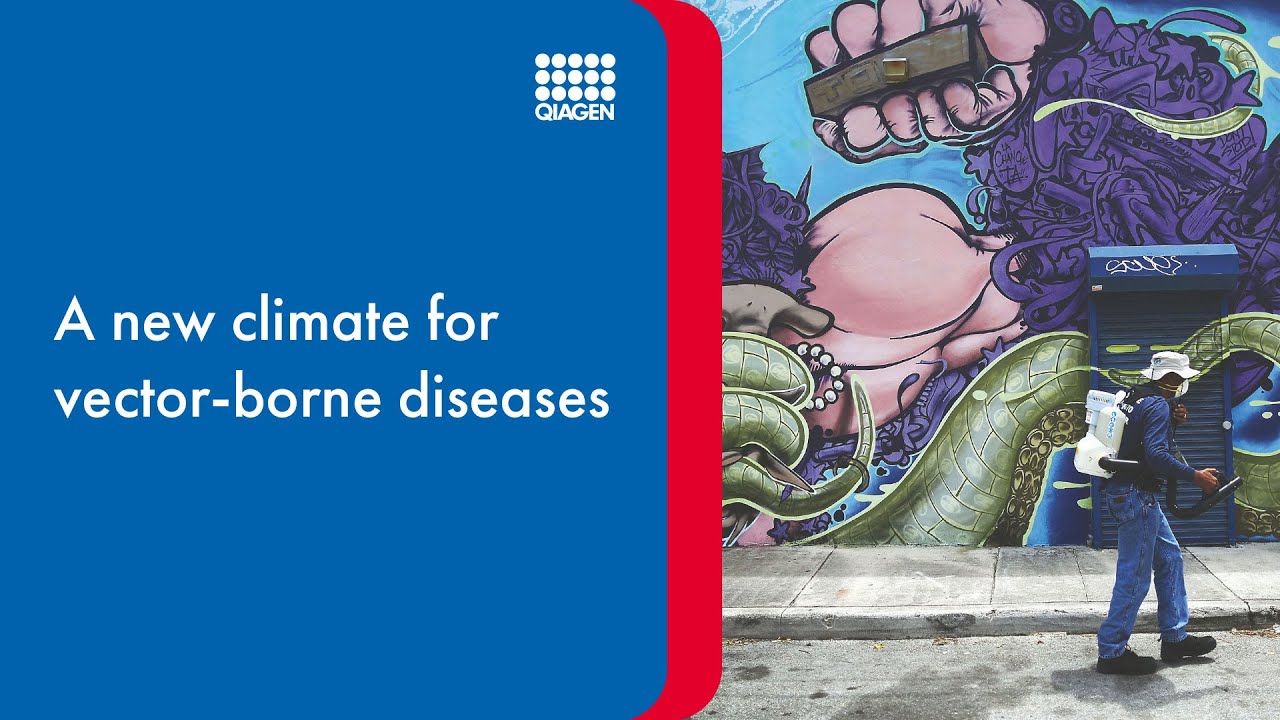 A new climate for vector-borne diseases