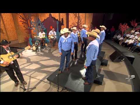 Branca Tirana, por João Mulato e Douradinho e Grupo Novos Araçás