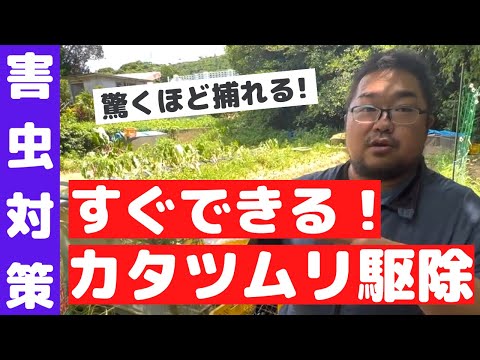 園芸 ナメクジやカタツムリとの戦い