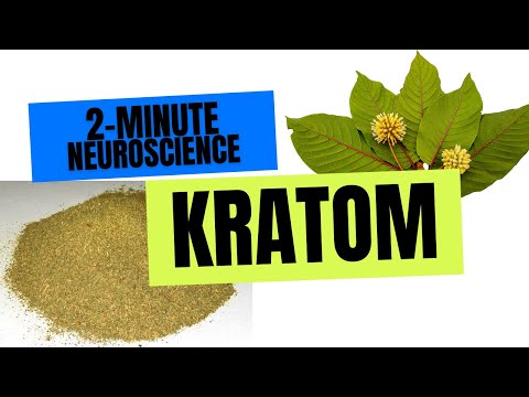 2-Minute Neuroscience: Kratom