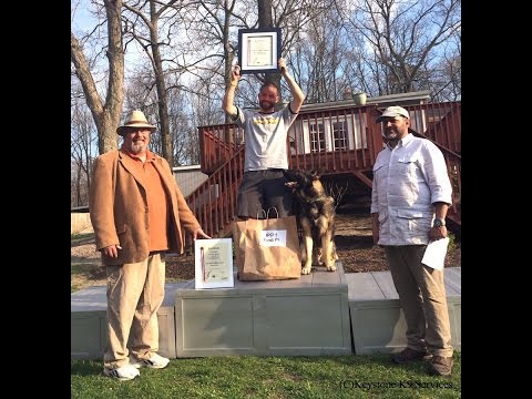 The Players 2014 Dog Sports Tournament - IPO1 Champion - Patrick Fitzgerald & Falk Vom Willington