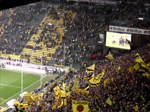 Der Muri- Ein Tag im Mai