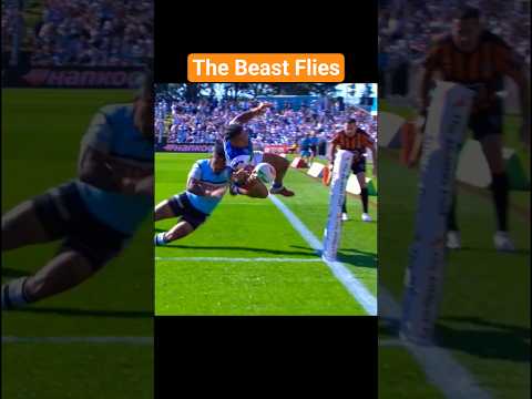 Airborne Marzhew's stuns the Sharks | NRL Highlights, Knights V Sharks, Round 26, 2025 #nrl