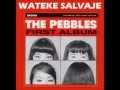 The Pebbles - Twist