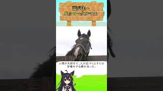 頭が良すぎるホッコータルマエ #競馬 #JRA #苫小牧 #中央