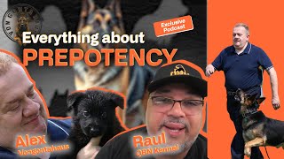 Prepotent sires