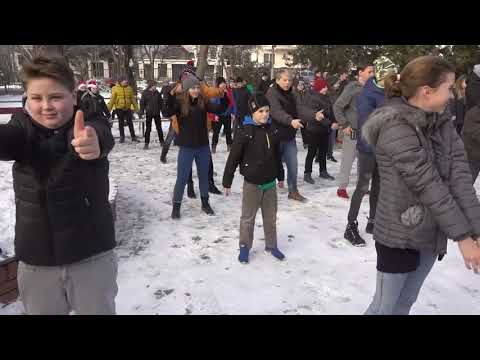 vajk szigetflashmob