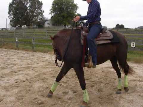 KT's Training Tips - Yielding Hindquarters Under Saddle