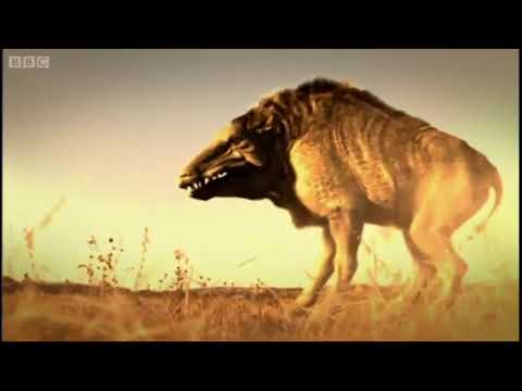 The Life of Mammals [2002 - 2003] - Daeodon Screen Time