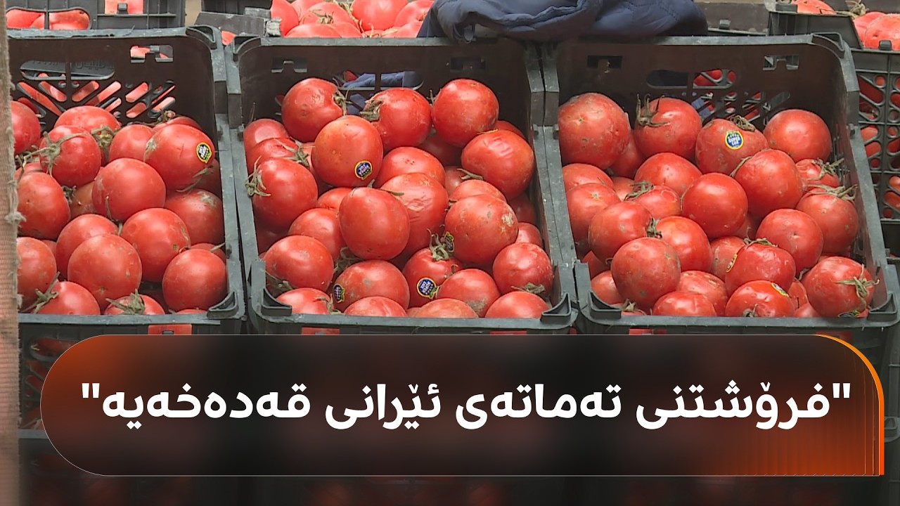 ڤیدیۆ | لە عەلوەی دهۆک بەهۆی فرۆشتنی تەماتەی ئێرانی چەن کەسێک سزا دراون
