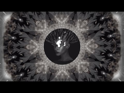 Stellar Circuits - Ways We Haunt (Full Album Stream)