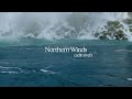 Northern Winds (Official Lyric Video) - Caelin Rivers