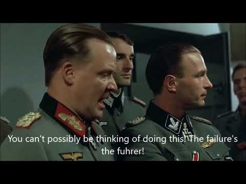 Fegelein and the AfD