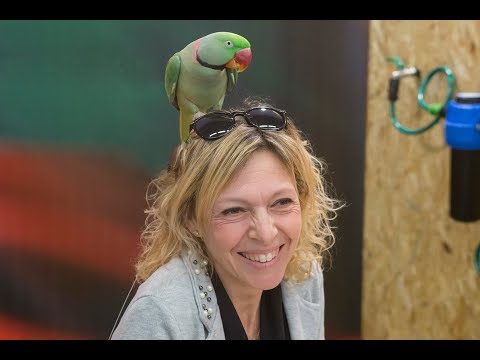 Verdi Passioni Fiera di Modena 2019