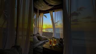 Sunset Beach Canopy Drinks Ambience 4K