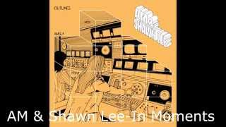 AM & Shawn Lee - In Moments [Official Lyrics Video]