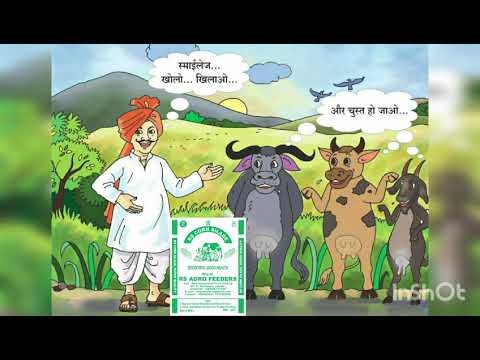 Cattle Feed - Pashu Aahar Latest Price, Manufacturers & Suppliers Cattle Feed - Pashu Aahar Latest Price, Manufacturers & Suppliers