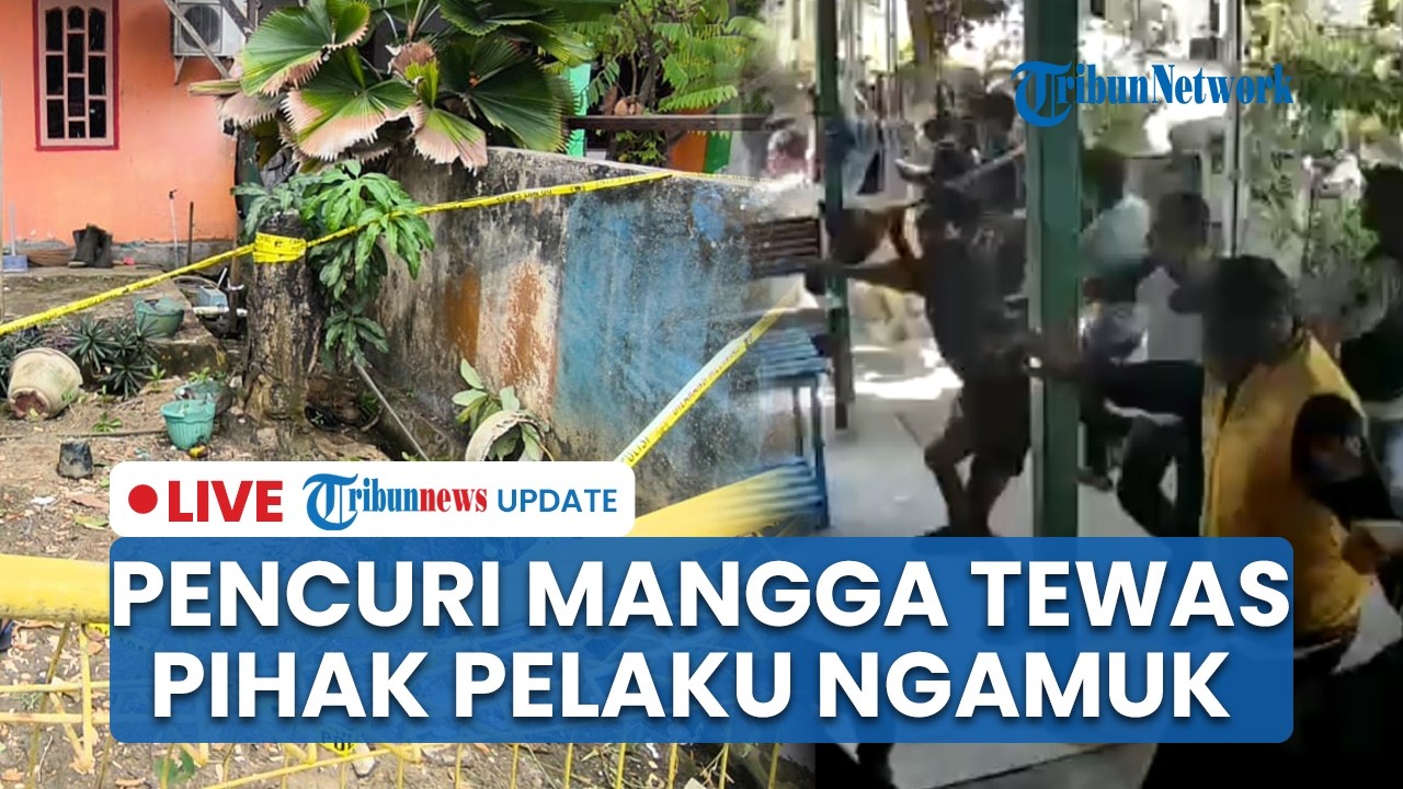 LIVE: Pencuri Mangga di Kaltim Tewas usai Jatuh dari Pohon, Keluarga Ngamuk Rusak Rumah Korban