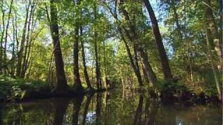 preview picture of video 'Mit dem Kanu oder dem Kahn durch das Biosphärenreservat Spreewald'