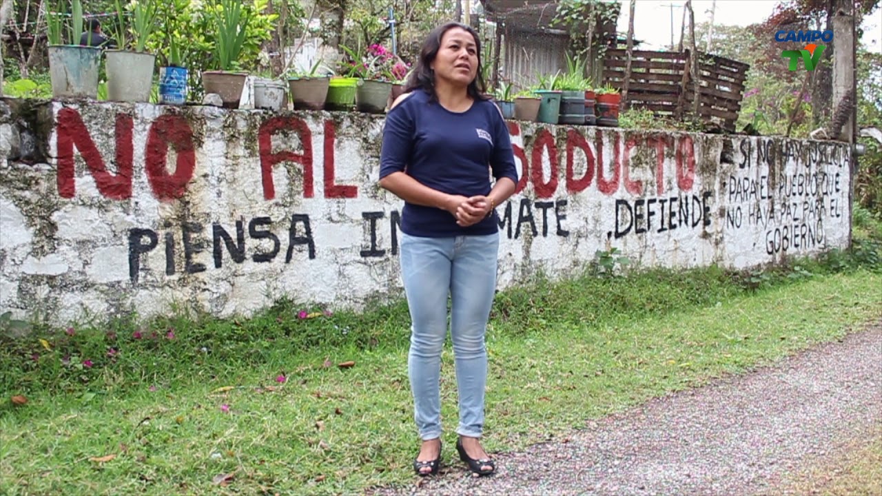 Documental Sierra Norte de Puebla