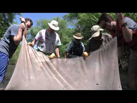 Redhorse Trailer (HD)