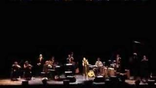 dosvedanya mio bombino