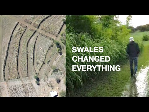 Rainwater Harvesting with Swales. A Permaculture Success Story