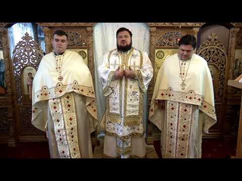 PS Petroniu - Predică la Praznicul Întâmpinării Domnului, Zalău, 2020