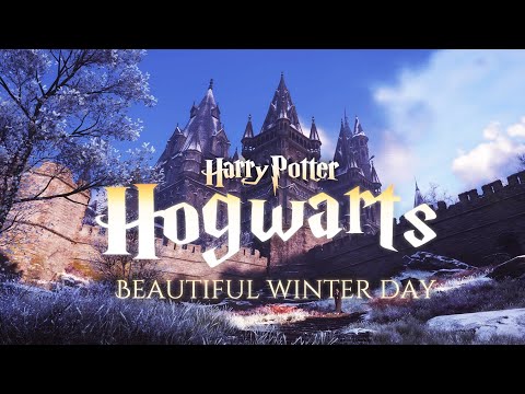 Calm Winter day at Hogwarts - Harry Potter Music & Ambience for Study
