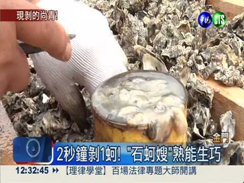 金門剝石蚵比賽 千人坐河堤開戰