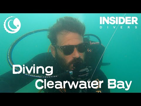Diving in CWB