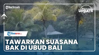Amanuba Hotel & Resort Rancamaya, Penginapan Dekat Jakarta yang Bernuansa ala Ubud Bali