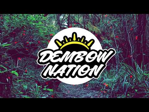 Pop Smoke, Karol G - Enjoy Yourself (Sneisen Remix)