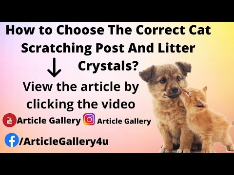 How to Choose The Correct Cat Scratching Post And Litter Crystals? || Article gallery