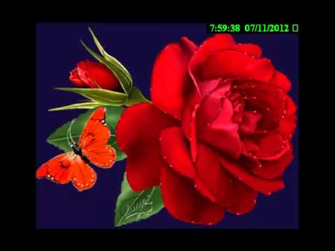 MILOVAN SIMIC SIMKE - RUZO MOJA ZA KOGA MIRISES