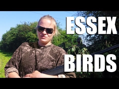 Fieldsports Britain : Shooting pigeons in Essex, and the fallow buck season starts (episode 141) Fieldsports Britain : Shooting pigeons in Essex, and the fallow buck season starts (episode 141)
