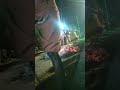Paraikulam Muperundevi Muthumari Amman My Kovil Thiruvila
