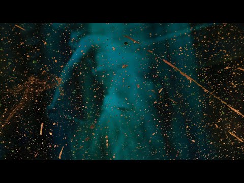 P-Rallel ft. Greentea Peng "Soulboy" (Kursiva bootleg)