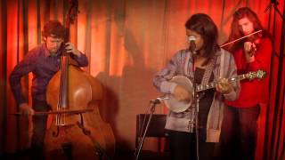 Too Blue: leyla mccalla